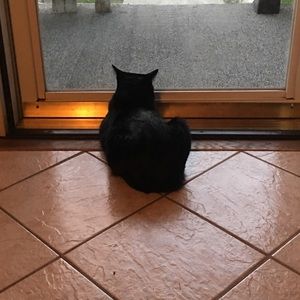 Meet your Posher, Jenifer